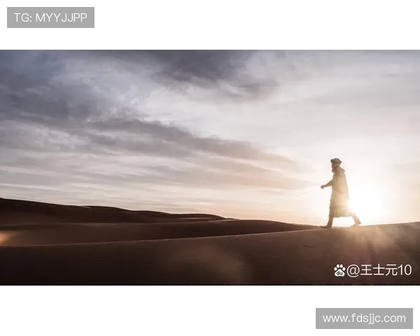 当我们没有翅膀依然勇敢追寻光影人生的温暖传奇篇章旅程