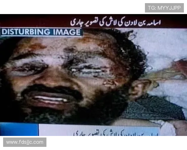 末日围城追击僵尸本拉登的惊魂冒险传奇大剧全程高能篇