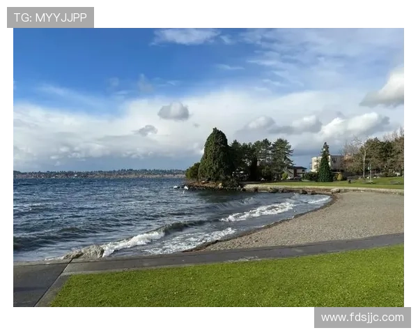 情定西雅图：当浪漫遇上雨，爱情在这里悄然绽放
